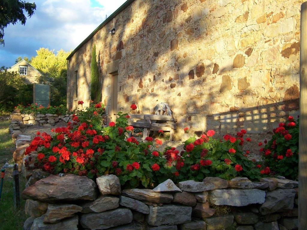 Cleburne Homestead Risdon Rum bild