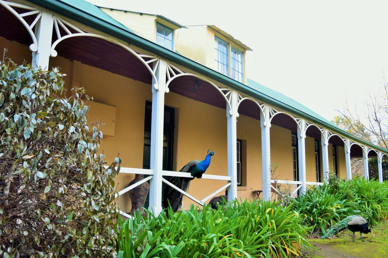 Cleburne Homestead Risdon Exteriör bild