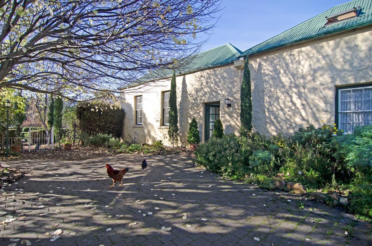 Cleburne Homestead Risdon Exteriör bild